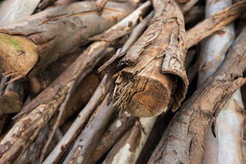 picture pile timber used