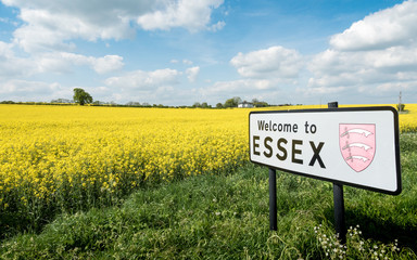 Welcome to Essex sign, UK. A rural English countryside scene on a bright spring day with a sign welcoming travellers to the English county of Essex. - 178661534