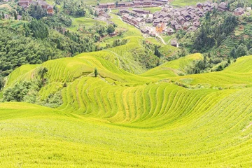 Foto op Canvas Longji Rice terraces on Yaoshan Mountain in Guangxi, China © upslim