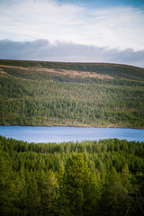 Obraz premium A beautiful aerial view of an autumn forest with lake in Norway. Pine trees from above. Colorful forest landscape.