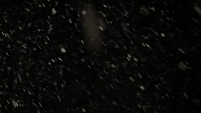 Snow Corn, flocon de neige