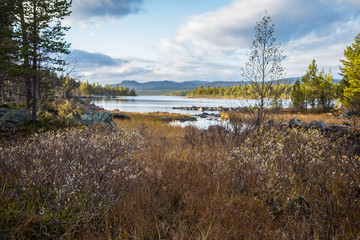 Beautiful autumn landscape in central Norway. Colorful fall scenery in Scandinavia.