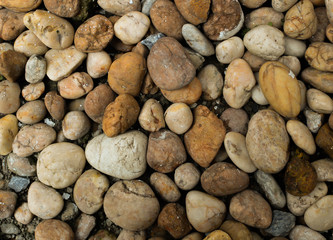 Stone texture background in the garden