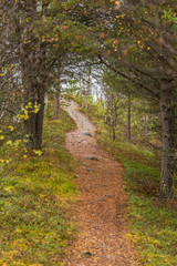 Obraz premium Beautiful autumn landscape in central Norway. Colorful fall scenery in Scandinavia.