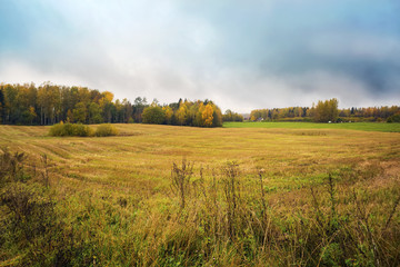 Obraz premium Fall landscape near Cesis town, Latvia