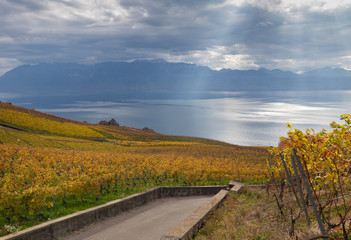 Lavaux region on autumn 5