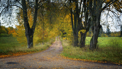 Country road in fall season. Latvia
