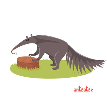 Cute anteater in cartoon style.