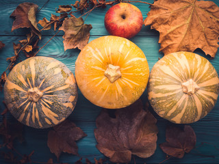 Moody green autumn background with pumpkins , apples, yellow leaves. Fall still life flat lay