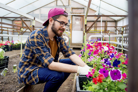 Man working in a greenhouse