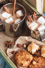 Metal cups with cacao and marshmallows