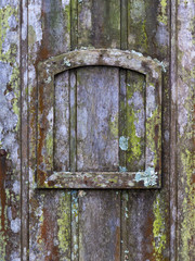old wooden door with lichen and moss and a small frame - vertical background texture