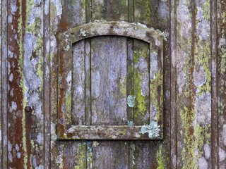 old wooden door with lichen and moss and a small frame - horizontal background texture