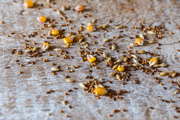 Various grains scattered on wooden background