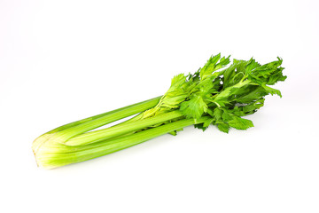 fresh celery isolated