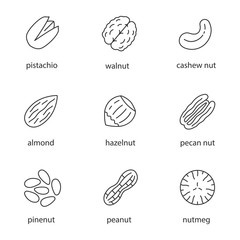 Nuts types linear icons set