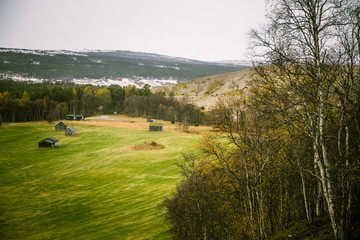 Obraz premium Beautiful autumn landscape in Norway with yellow leaves. Colorful nordic scenery.