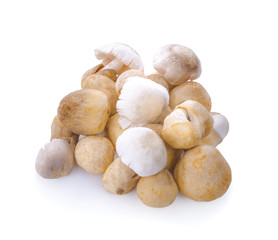  Straw mushroom