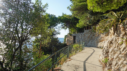 amazing natural beach in croatian town dubrovnik