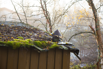 A beautiful wooden house in the forest with a grass and moss growing on a roof. Natural roof, traditional building in Norway. Beautiful autumn scenery.