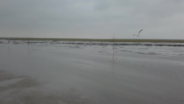 Wadden sea Unesco national park near Mand&oslash; island jutland north sea Denmark Europe &ndash; 4K Aerial