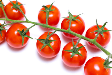 tomatoes on the branches