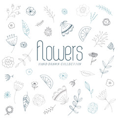 Sweet vector flowers hand drawn, blue flowers, hand drawn illustration