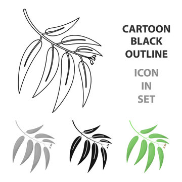Eucalyptus vector icon in cartoon style for web