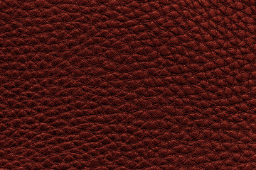 Red Leather Texture 