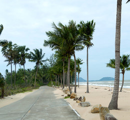 Windy coastal road on a cloudy day with palms. The concept of off-season in the resort