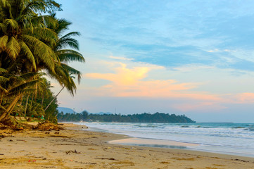 Beautiful scenic view of the wild beach