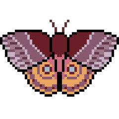 vector pixel art insect moth