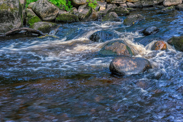 Small forest river