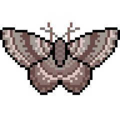 vector pixel art insect moth