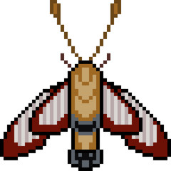 vector pixel art insect moth