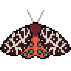 vector pixel art insect moth