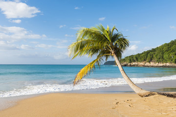 Obraz premium Pearl Beach