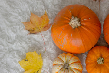 Pumpikins