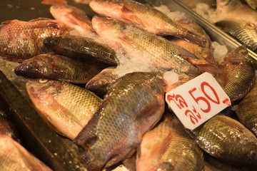 Tilapia fish fresh in ice sell on market