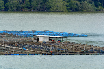 Floating fish farm