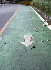 The white arrow painting on the green bike lane. it is a division of a road marked off with painted lines, for use by cyclists.