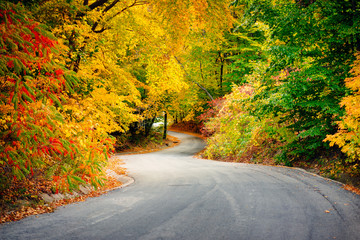 Winding Road Through Autumn Colors