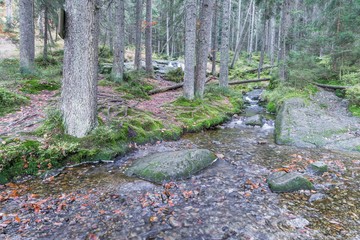 Wasserfall am kleinen Arber See, Bayern, Deutschland