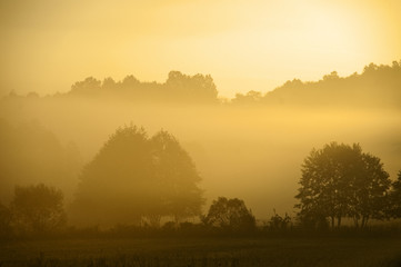 Sunrise fog