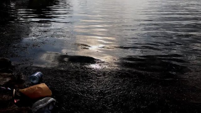 "Water pollution - various dirt floating at water surface; sea ​​surface; camera shot" plastik atıklar cam şişeler su kirliliği