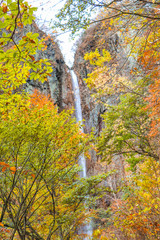  Fudodaki in autumn and  waterfall background of Yonago, Suzaka-shi, Nagano Prefecture,Japan.
