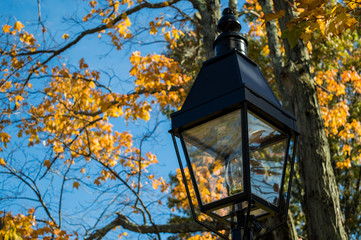 Fototapeta na wymiar Street Lamp Against Leaves
