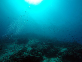 Fototapeta na wymiar Unterwasserwelt