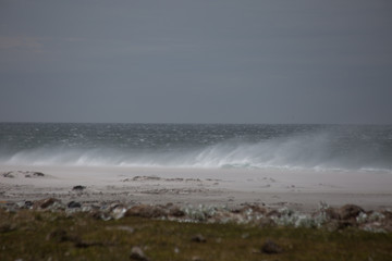 Falklands stürmische Küste