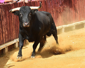 toro